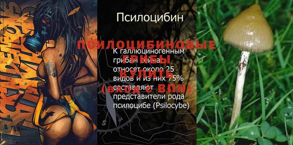 героин Апатиты
