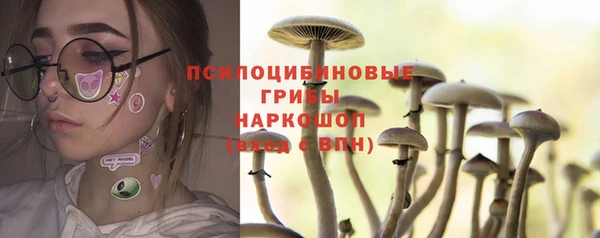 первитин Михайлов
