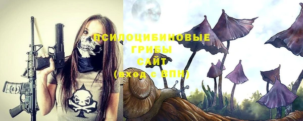 первитин Михайлов