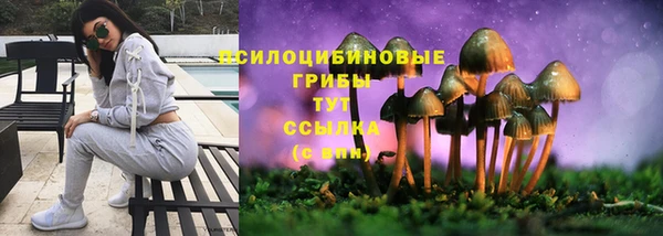 первитин Михайлов